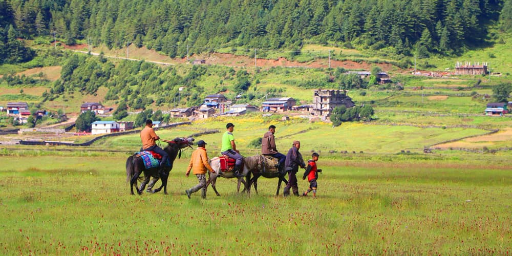 अविचलित जीवित सीमास्तम्भ गोपाल कोइराला - Image 10