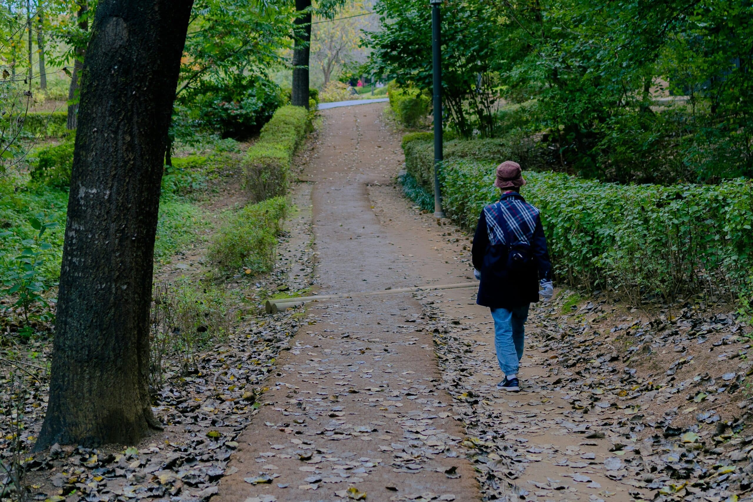 Do we really need 10,000 steps a day? - Image 2