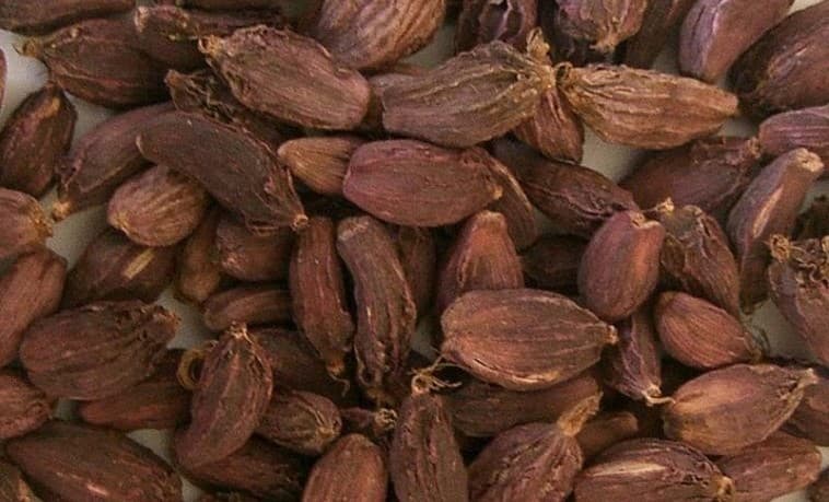 Cardamom export thru Kakarbhitta rises sharply in last FY - Image 1