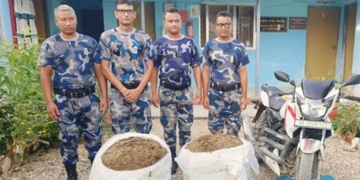 सिरहाको खजनपुरबाट ४९ किलो ७६० ग्राम गाँजा बरामद - Image 1