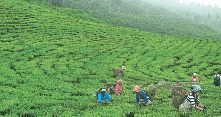 असन्तुलित उपभोगले ग्यास आपूर्ति प्रभावित - Image 2