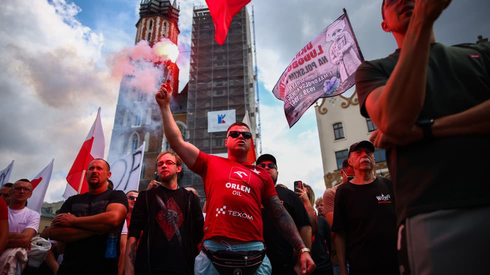 Poll Shows Majority of Poles Support Deporting Unemployed Ukrainian Men - Image 1