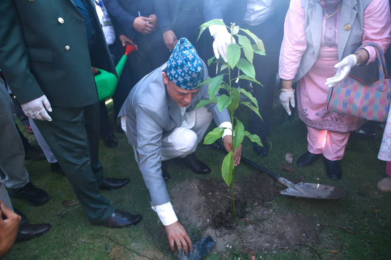 सिंहदरबारमा ‘एक सांसद, एक वृक्षरोपण’ : आफूले रोपेको बिरुवा आफैं संरक्षण गर्न सुझाव - Image 1